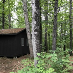 cabin light (prologue)