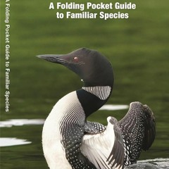 ⚡Audiobook🔥 Minnesota Birds: A Folding Pocket Guide to Familiar Species (Wildlif