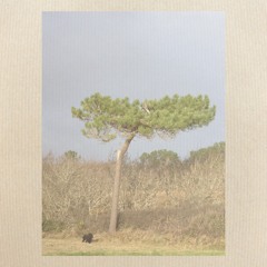 risolee - Smile - Vinyl Set Works EP. 34 - 2025