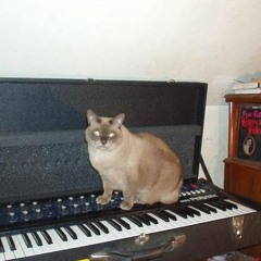 Meow.