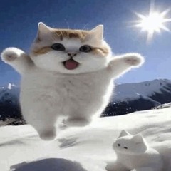 NAV KATZE - Untitled Mini - Album (1986) 猫の戯言、レコ発インタビュー付き