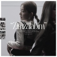 Red Velvet - 짐살라빔 (Zimzalabim) (DJSJ EDIT)