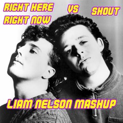 Right Here Right Now Vs Shout (Liam Nelson Mashup) (Free Download)