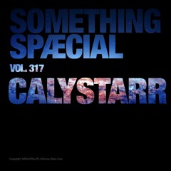 CALYSTARR : SPÆCIAL MIX 317