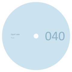 MNMT Premiere: Psyk – Opal Lake