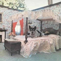 The Silent Palace Memoirs #8 with Marvin - 07/03/19