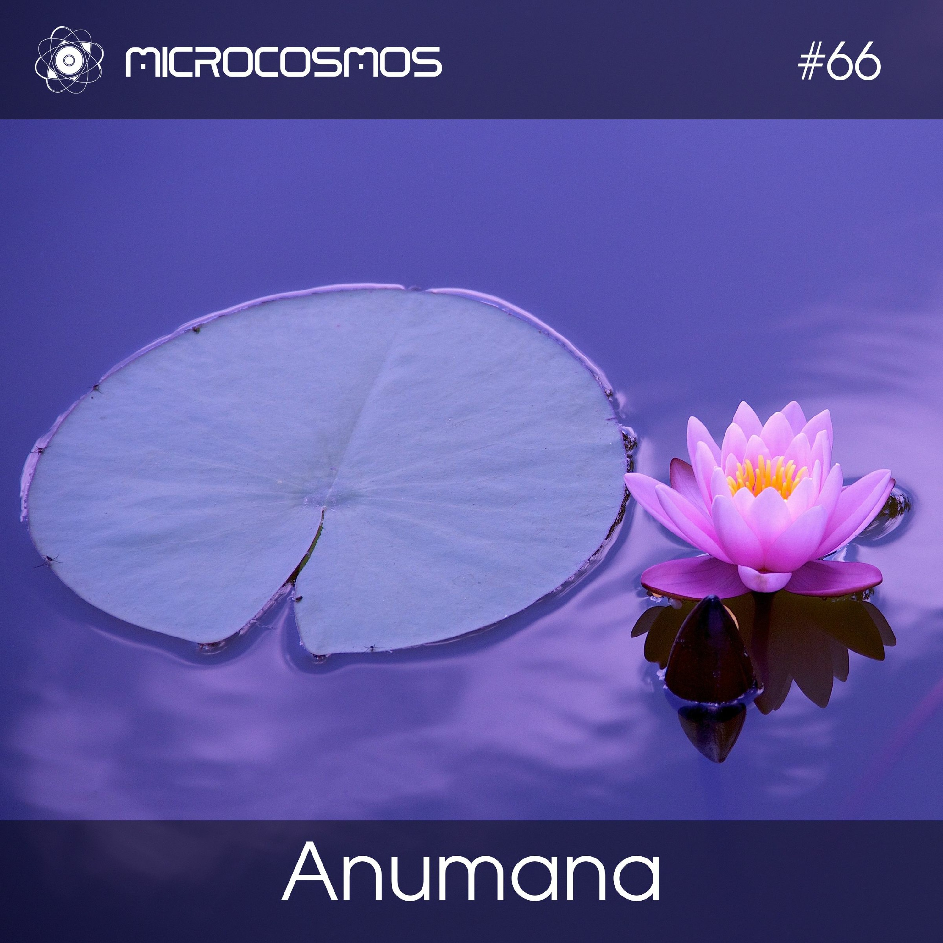 Microcosmos ChillOut and Ambient