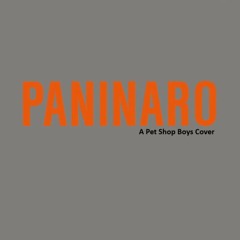 Paninaro - Pet Shop Boys COVER VERSION