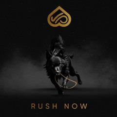 RUSH NOW