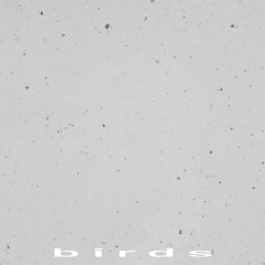 birds [FREE LOFI BEAT]
