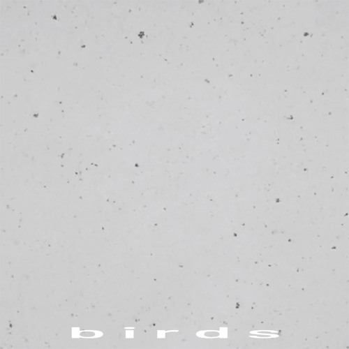 birds [FREE LOFI BEAT]