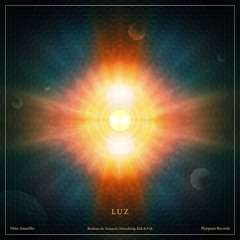 Niño Amarilo - La Luz (Antaares Remix)