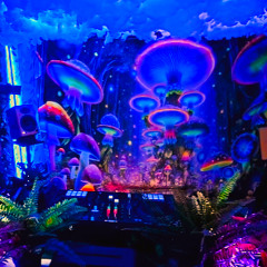 🌊 Melodic Waves Episode 49 🌊 Deep Melodic - Progressive - Organic House Live Mix August 2026