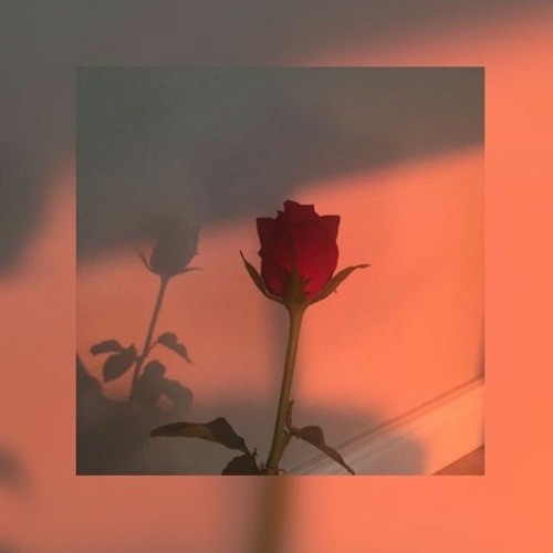 Love De La Nuit (Remake) [ᵀʰᵃⁿᵏˢ ᶠᵒʳ ¹.²ᴷ]