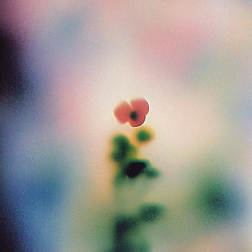 SMV012 - Wala