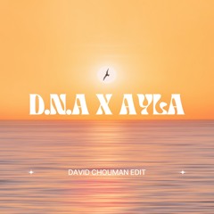 Ayla X D.N.A (David Chouman Mashup)
