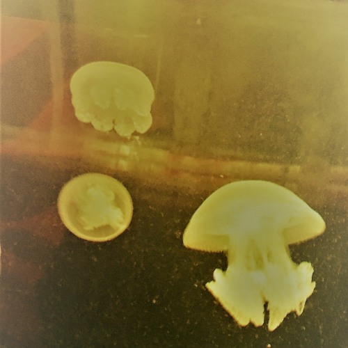 618 For No. 313 - Disco Edits, Nu Jazz and Deep House Vinyl mix