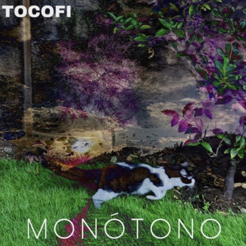 4. Por otro lado (Instrumental)