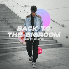 Back To The Bigroom (Mixed By skylinex) [FREE DOWNLOAD]