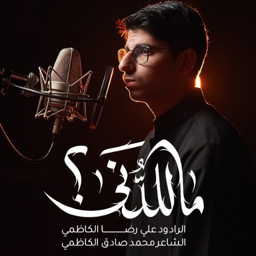 ماللدنى أظلمت و العالم ارتبكا | علي رضا الكاظمي | فاطمة الزهراء ع 1447 هـ 2025 م