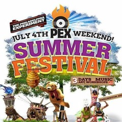 PEX Summer Fest 2014 (Pavilion Burn Night)