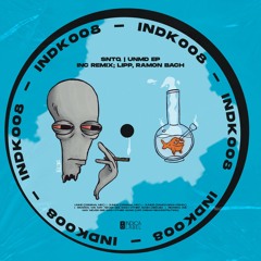 Premiere : Sntq - Ricardo, We May Never See Each Other Again (Lipp Dream Reconstrution) [INDK008]