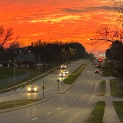 Artists I've Connected With