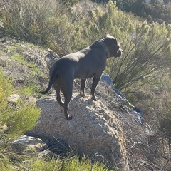 Afraid to Change - Edmar (prod. J Scott) JSMOOTH EXCLUSIVE