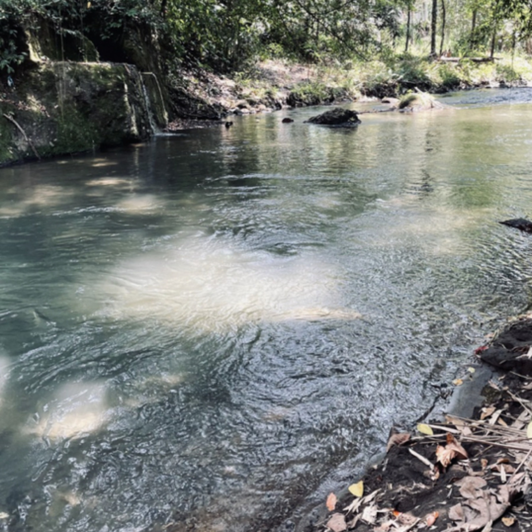 Sacred Waters