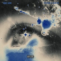 Fake Love