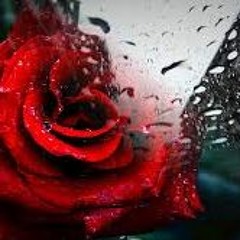 SENSUAL FEELING