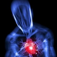 انشالله نزور العقيله | محمد الطرفي