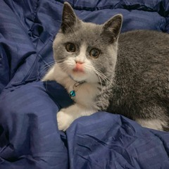 MIXTAPE BREAKBEAT BY DIOR!!!