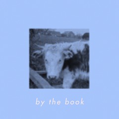 By The Book
