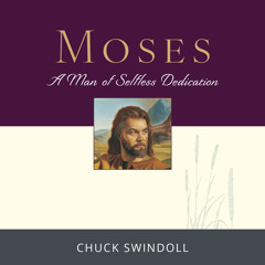 Misery, Midwives, and Murder, Part 1