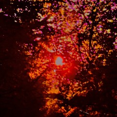 Famous prod. BULLYWO