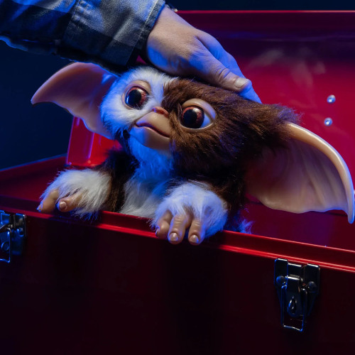 Eternity (feat. gizmo)