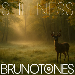 Stillness Original