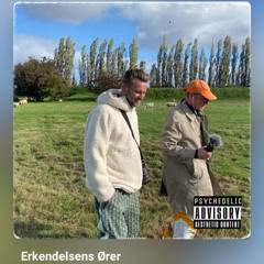 Erkendelsens Ører EP 1 : På Svampejagt : Mågerne har svaret - en samtale med en shaman