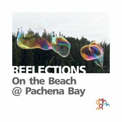 Reflections: Beach Set @ Pachena Bay