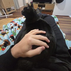 Dropping-Anchor-8-mins-Russ-Harris-The-Happiness-Trap.mp3