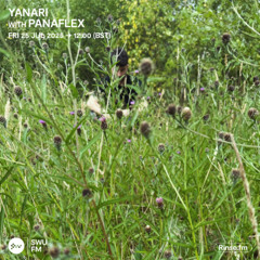 Yanari with Panaflex - 25 July 2025
