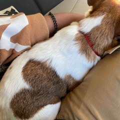 MyHeartBeatsForYou.m4a