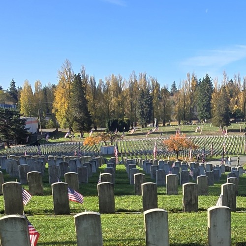 Under The Empires We Live