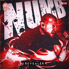 Revealer - Numb