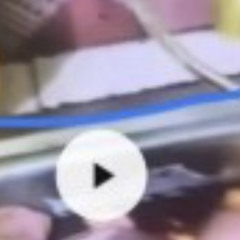 (Video Gốc) kỳ án 88 nguyễn xuân đạt 88 trang 88 trang tài liệu đoàn văn sáng vụ lạng sơn 88 trang ở lạng sơn