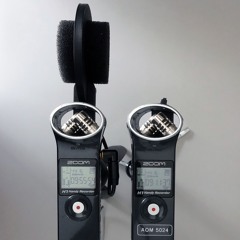 ZOOM H1 Stereo Baffle with AOM5024 Vs. AOM5024 capsules inside the H1.WAV