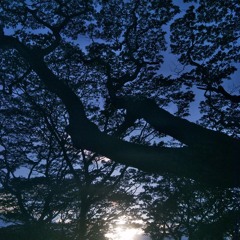 "Whom do I have"_Psalms 73:25 & 27:4 - (composition)