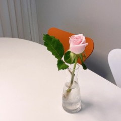 To. 양쌤