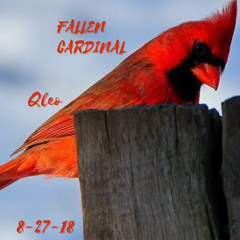 Fallen Cardinal {Prod.elavy}